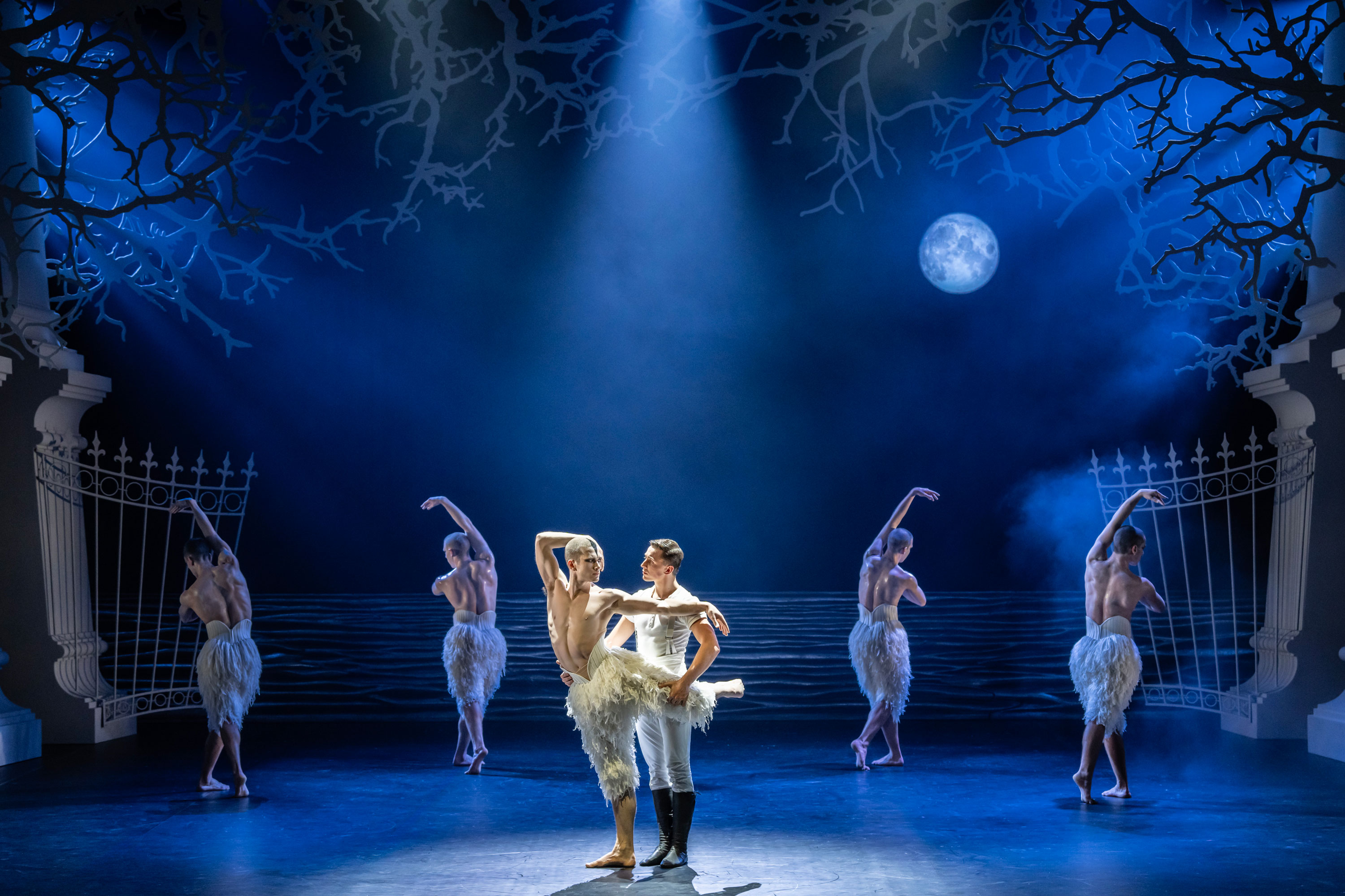 Photo Swan Lake - Seine musicale