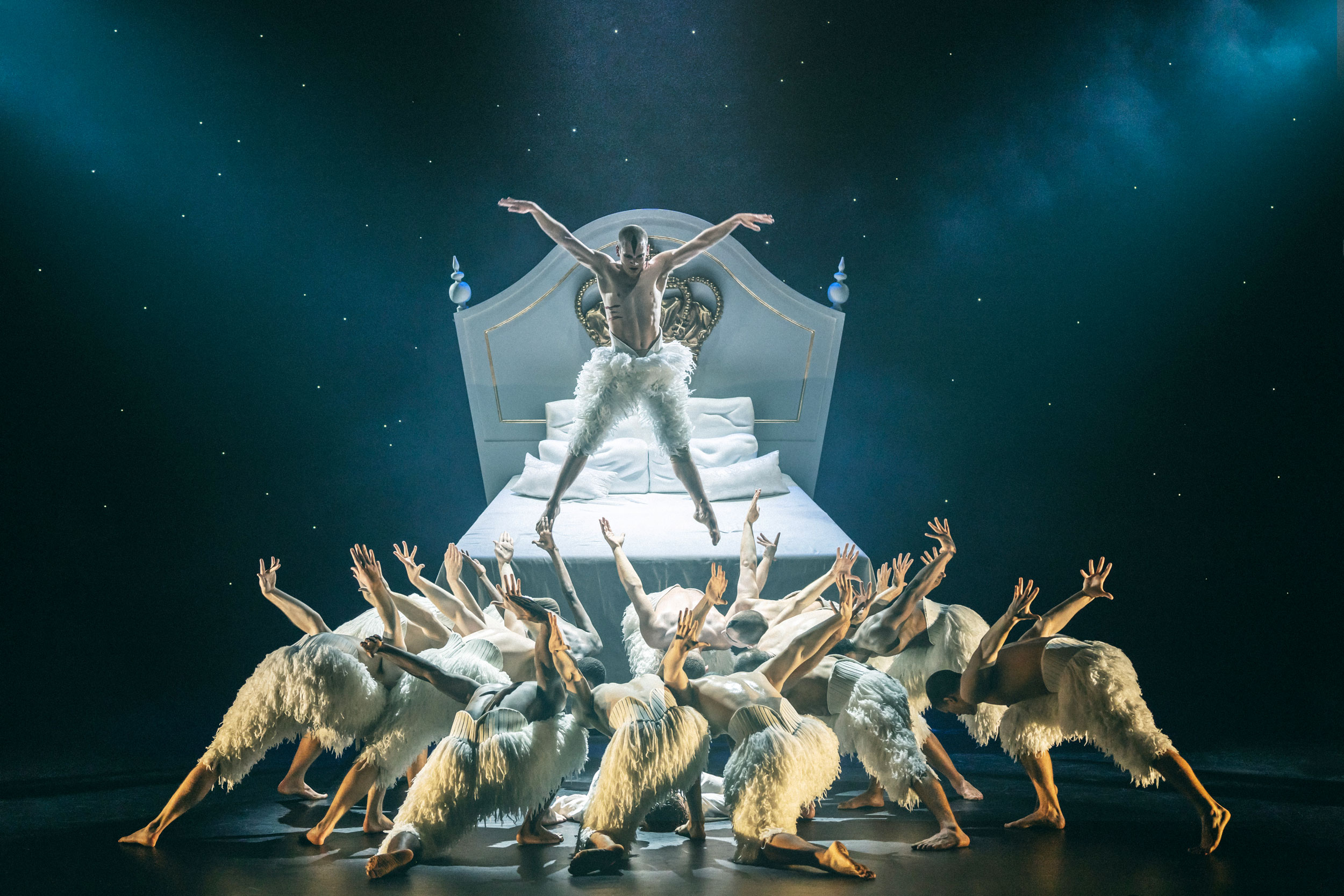 Photo Swan Lake - Seine Musicale